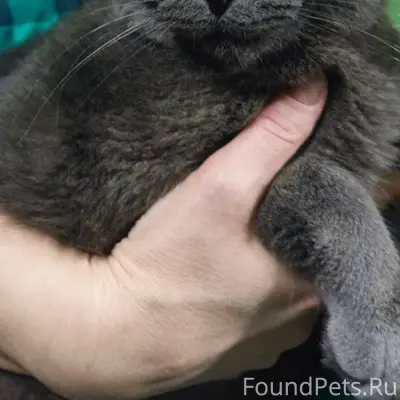 ‼️ВНИМАНИЕ‼️ Сегодня найден ко...