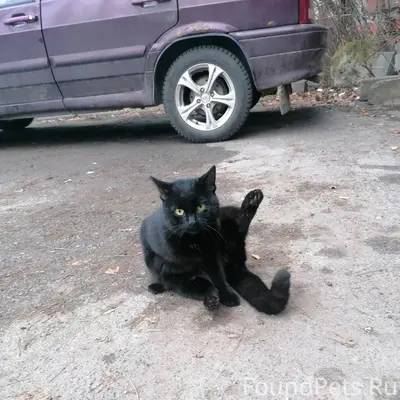 04.12.2025 15:18 Район...