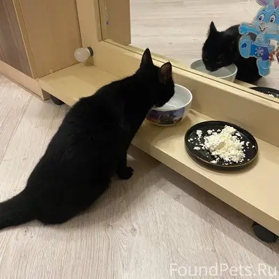 ‼️ Внимание, Белгород ‼️ Сегод...