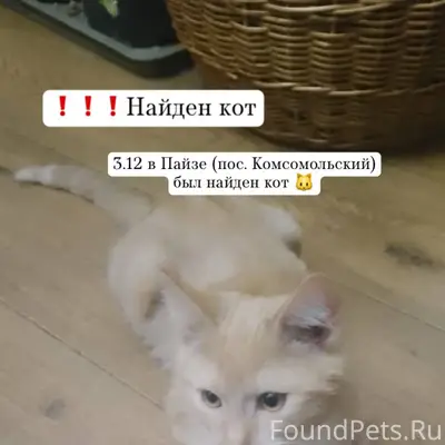 ❗️❗️❗️❗️❗️ Добрый день! Найден...