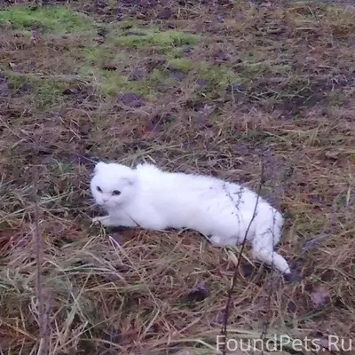 Володарск! Мичурина! Помогаю и...