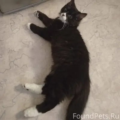 3.12 в 22.30 по...