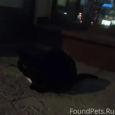 ❗️Несколько дней назад появила...