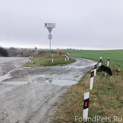 ❗Присмотритесь, может это ваши...