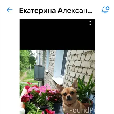 Друзья, я знаю вы все не...