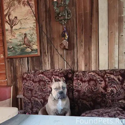 🆘🆘🆘 Ночью 04.11.25 Пропала...