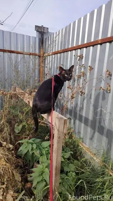 #Калуга Здравствуйте, а д. ШОП...