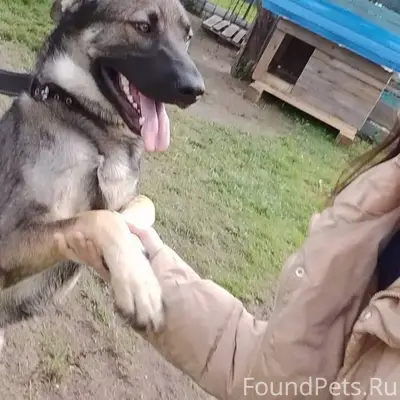 #Черныйсписок #Ржев ВНИМАНИЕ‼ ...