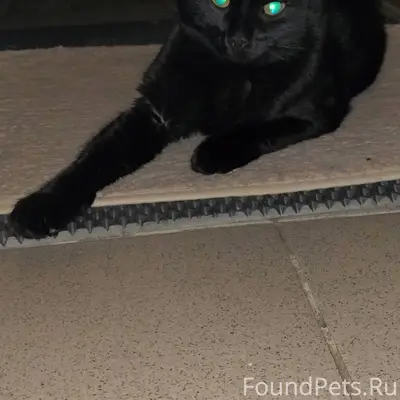 В районе ТЦ "Мозаика" на Ленин...