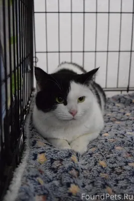 Казань. Вот такая малышка в по...