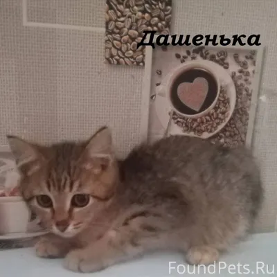 Для кого то время бежит больши...