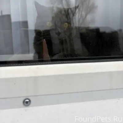 Помогите пожалуйста 🙏🏻😥 Послед...