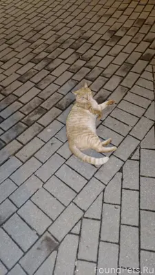 #Калуга Калугга , микрорайон а...