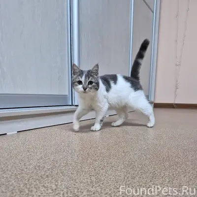 Чья потеряшка Ночью с 3 на...