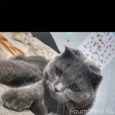 Пожалуйста выложите. Не аноним...