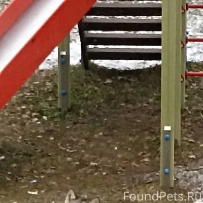 С 03 декабря сидит во дворе...