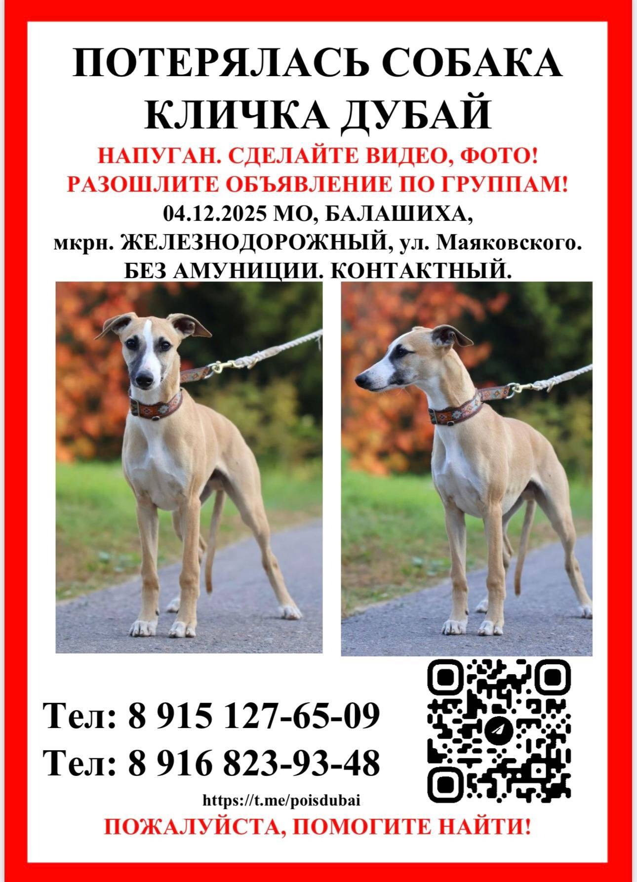 Продолжается поиск Дубая 📍 МО,...