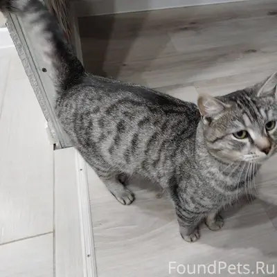 В Новомосковске 1 декабря в ра...