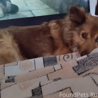 Доброго времени суток! Помогит...