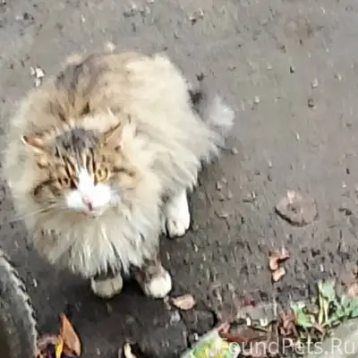 ПРИСТРОЙ С МЕСТА !!! Красавица...