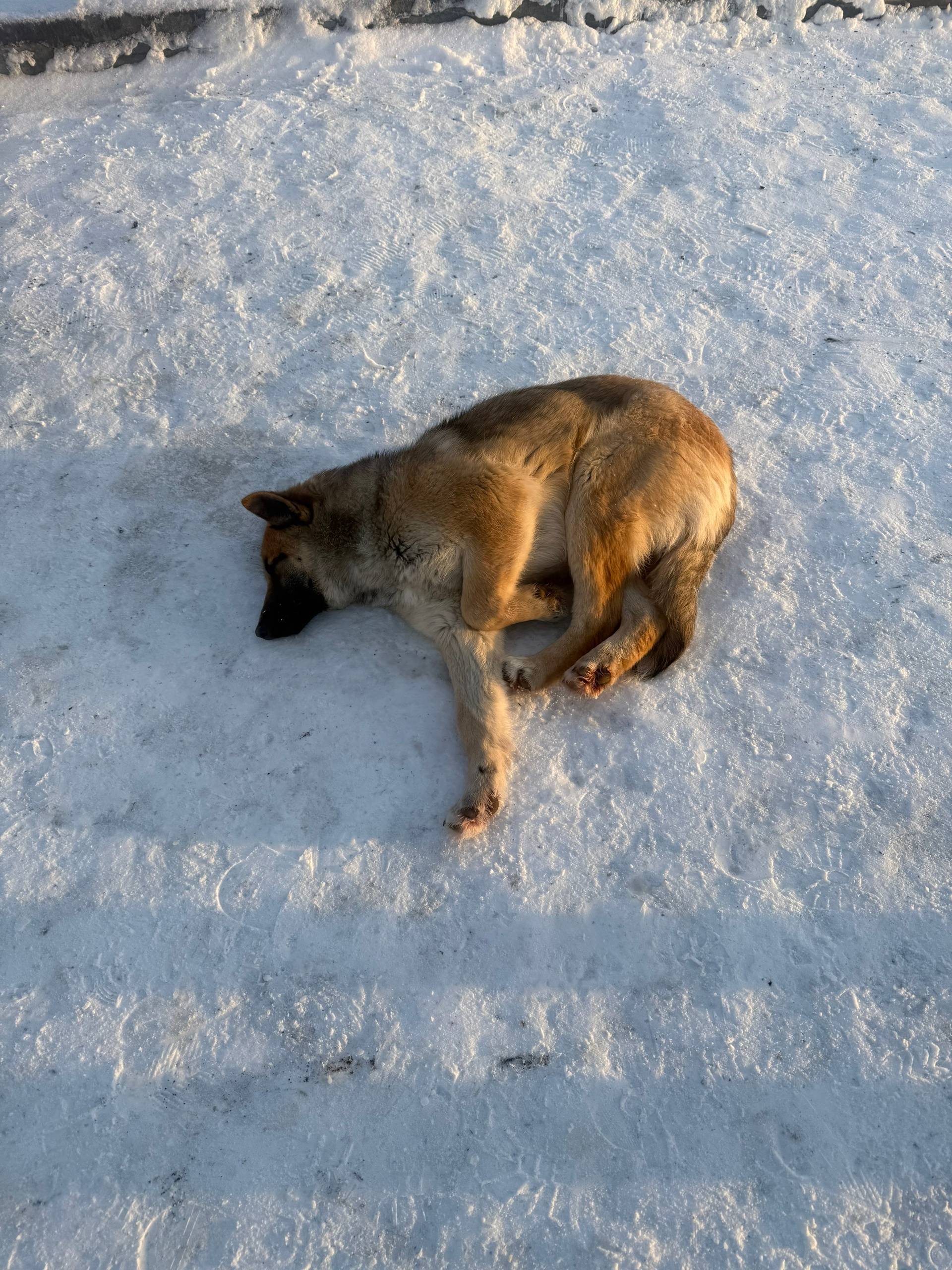 На территории предприятия по а...