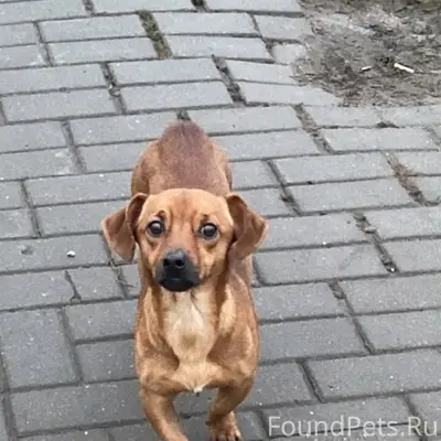 Московская обл. г. Егорьевск Н...