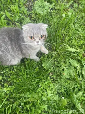 28.05.2025 около офисного здан...