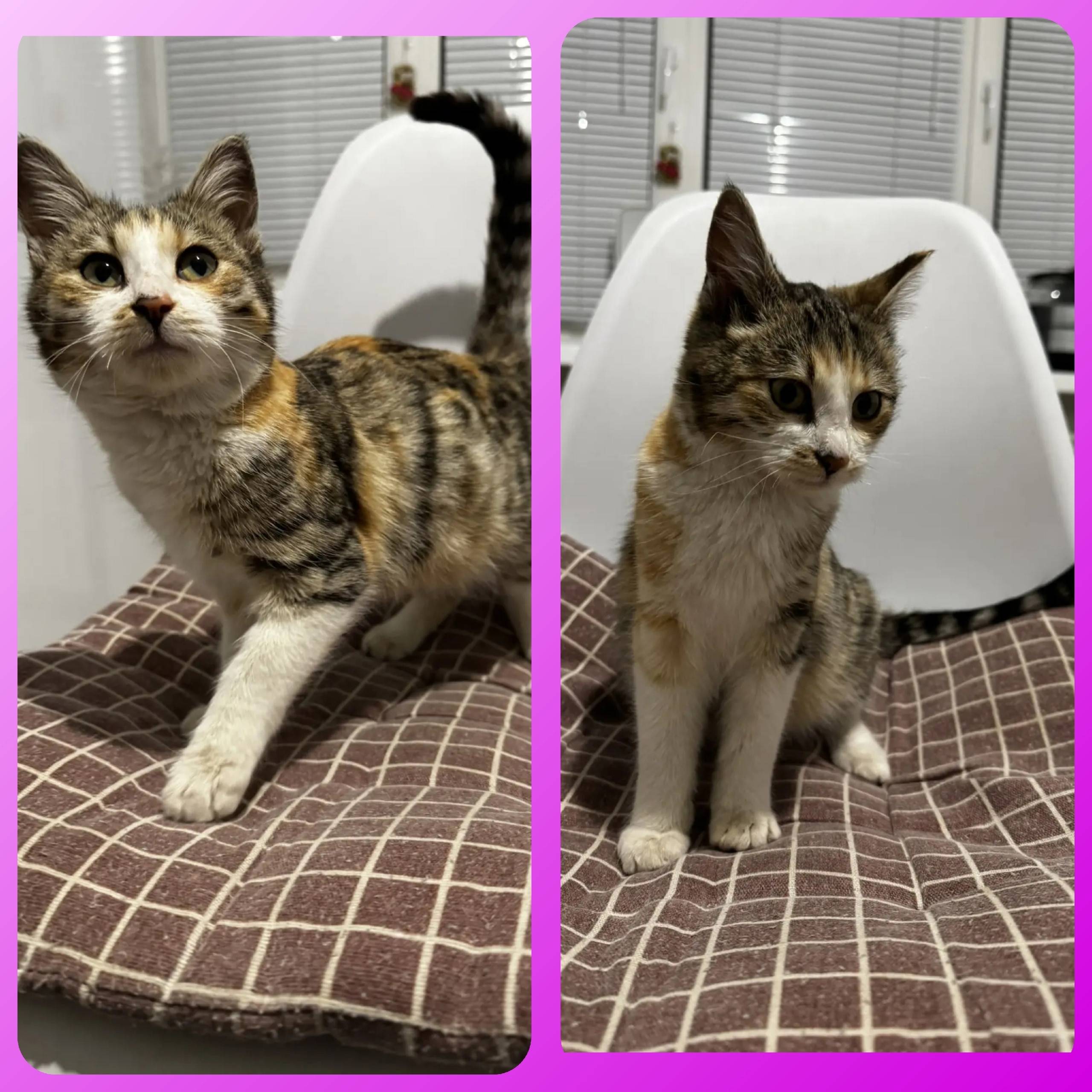 Г. Большой Камень. В сильный м...