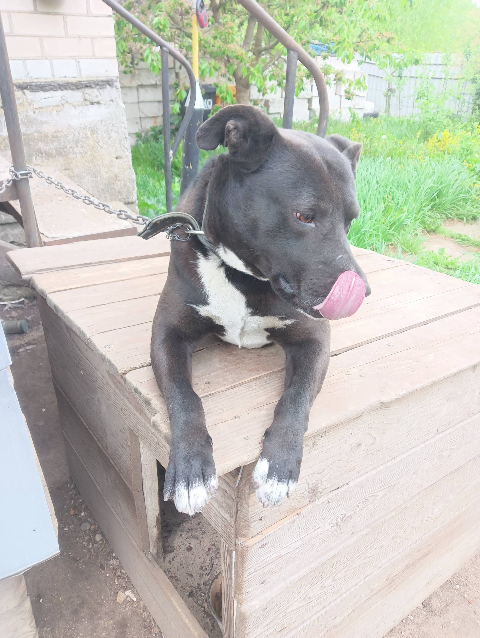 Здравствуйте. Опубликуйте пожа...