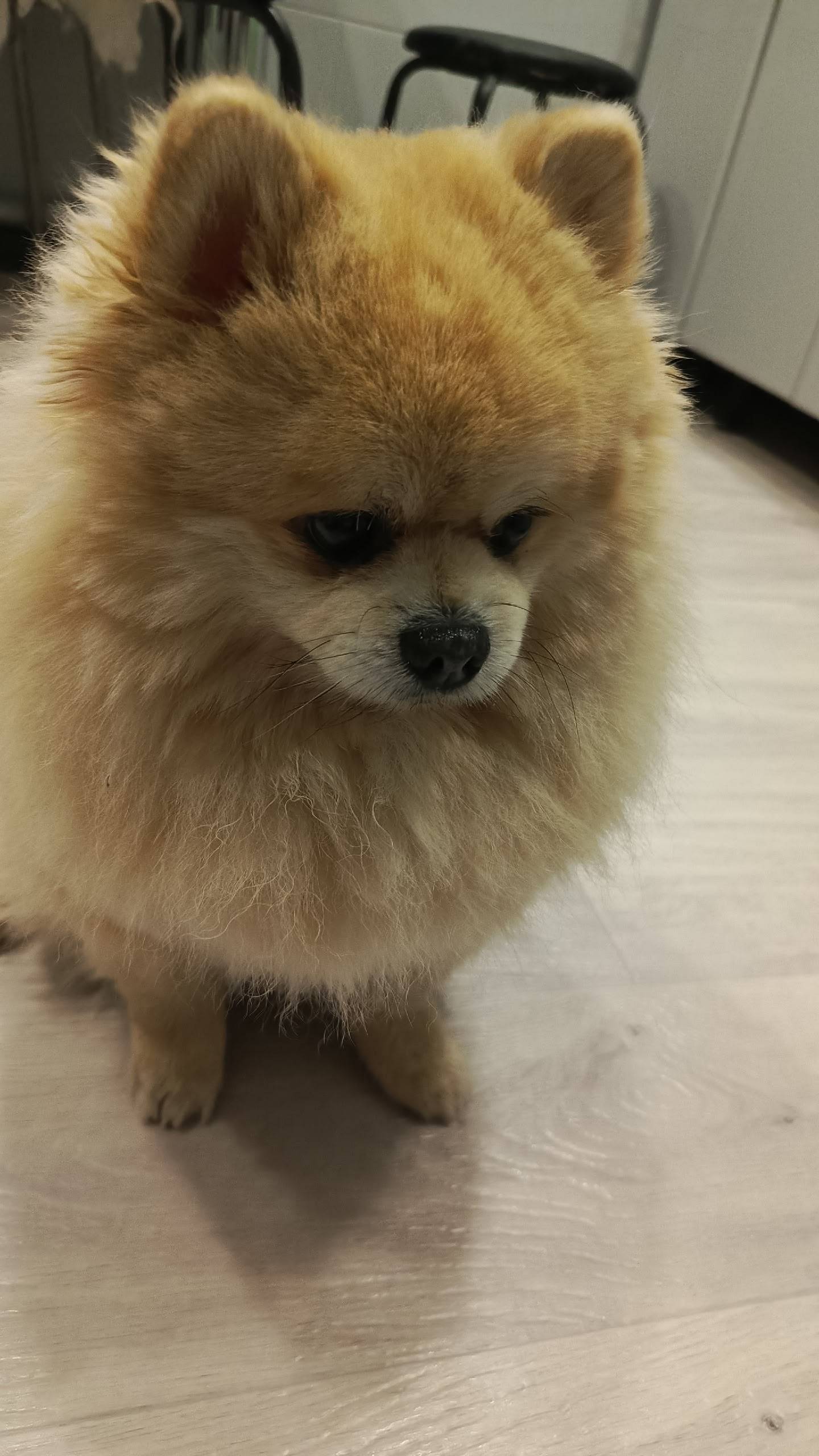 Потеряшка. На Лопатинском рудн...