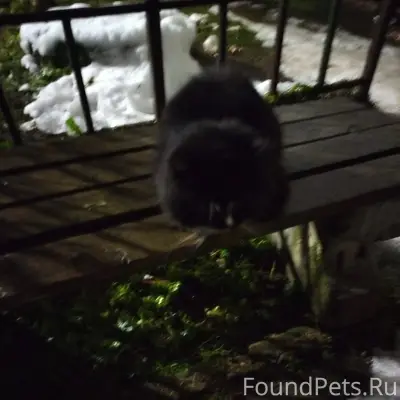 Жители посёлка Совхозный! Кто ...