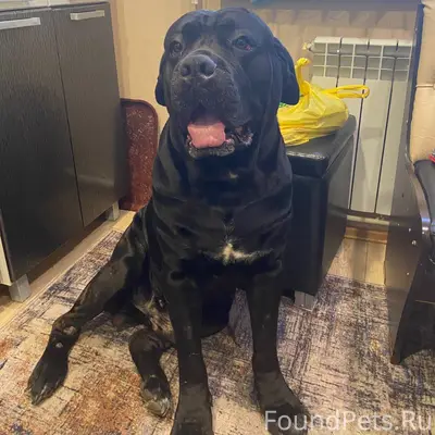 #Черныйсписок #Ржев 🆘🆘🆘🆘🆘🆘🆘🆘🆘С...