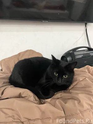 Всем здравствуйте, у нас пропа...