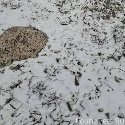 СРОЧНО! Просим максимальный ре...
