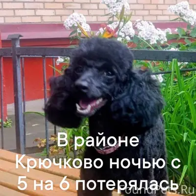 Максимальный репост. 5 декабря...