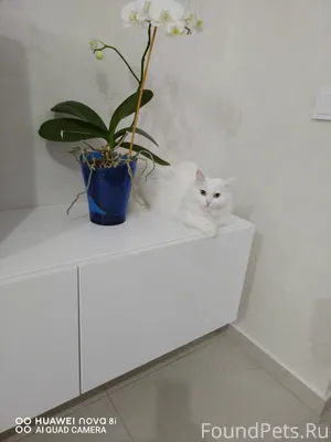 Мы продолжаем поиски нашей люб...