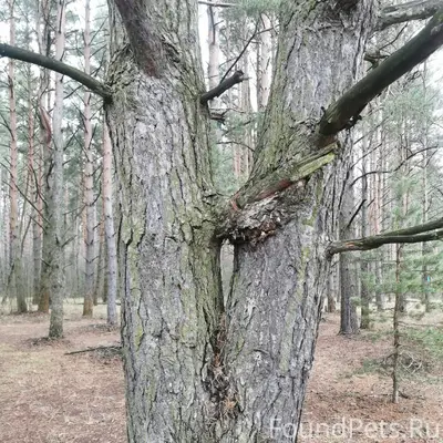 Всем Доброго вечера, замечател...
