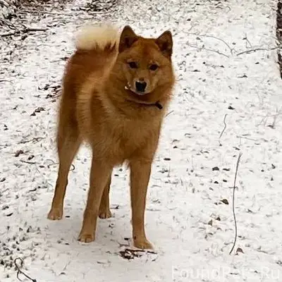 Опубликуйте пожалуйста. В райо...