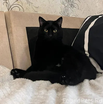 В районе варавино-фактория на ...