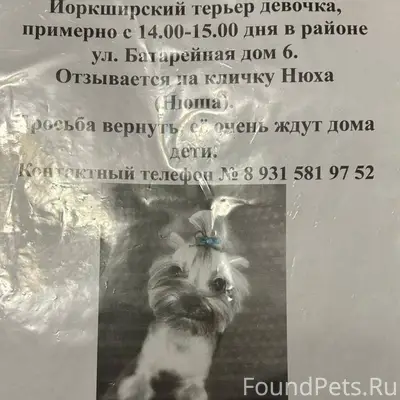 🆘Внимание !!! 06.12.2025 пропа...