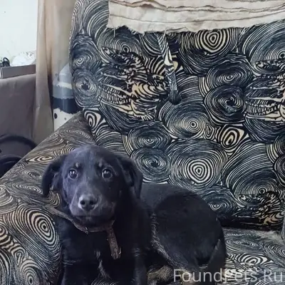 На улицу Чкалова д. 21 прибилс...