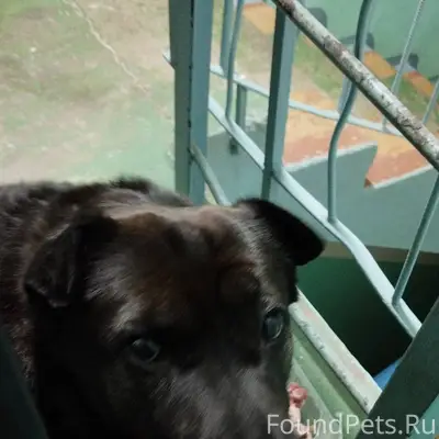 На Бредова 30 с 22.00...