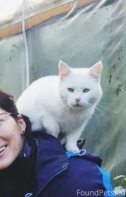 Очень жду свою красивицу... 🥺П...