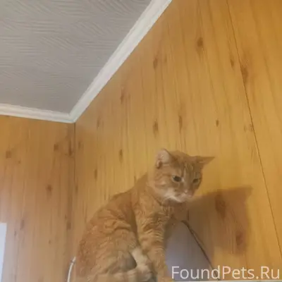 Здравствуйте! Может кто-то пот...