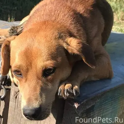 ‼️Внимание неравнодушных гражд...