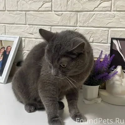 Всем привет! Просьба сделать м...