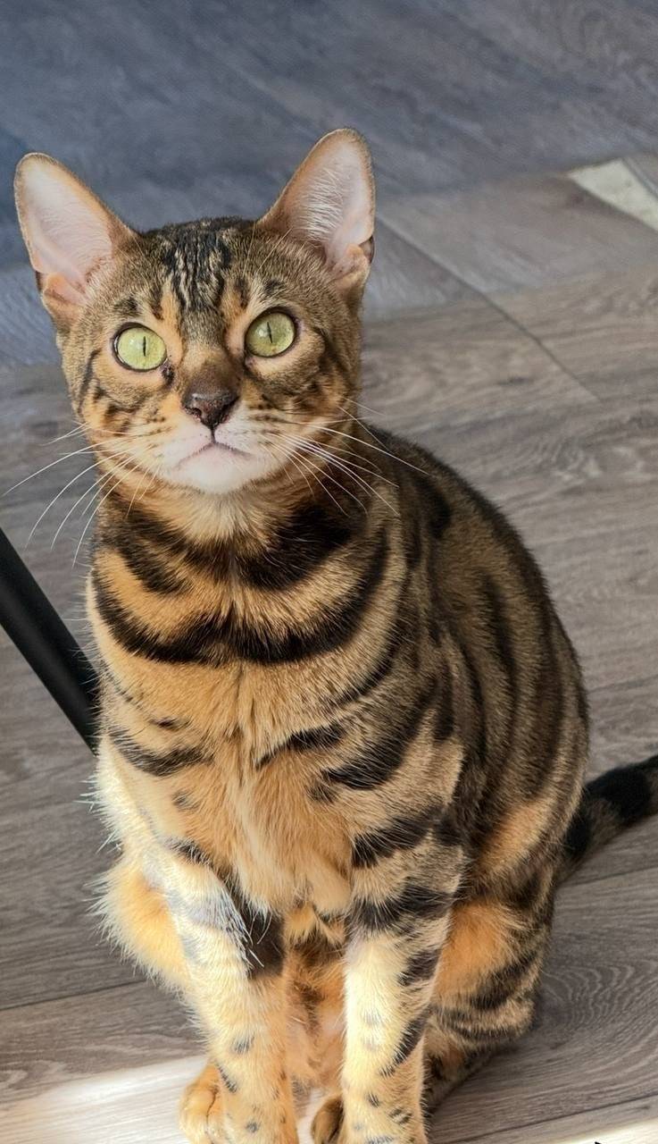 Помогите пожалуйста!! 02.12.25...