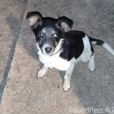 SOS!!! Срочно!!! Прибился к до...