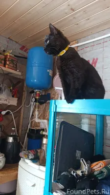 Не теряем надежды найти нашего...