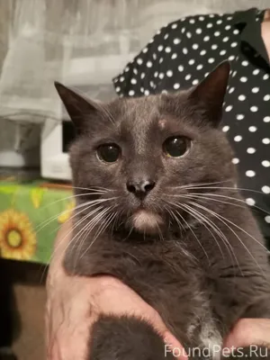 ПОМОГАЕМ ИНФОРМАЦИОННО В перво...